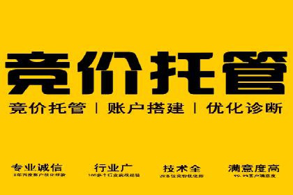 SEM竞价培训：实战案例解析与优化